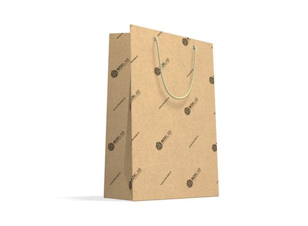 Paper bags, Gift bags